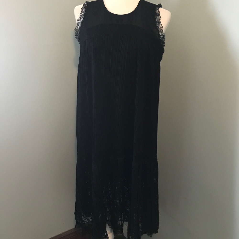 Stunning Anthropologie lace and pleated dress
